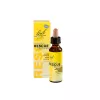 BACH RESCUE DAY CSEPP ALKOHOLMENTES 20ML