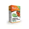 BIOCO CSIPKEBOGYÓS RETARD C-VITAMIN 1000MG FILMTABLETTA CSALÁDI CSOMAG 100DB