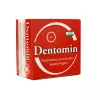 DENTOMIN FOGPOR NATÚR 95G