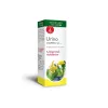 INTERHERB NAPI CSEPP URINO CSEPPEK 50ML